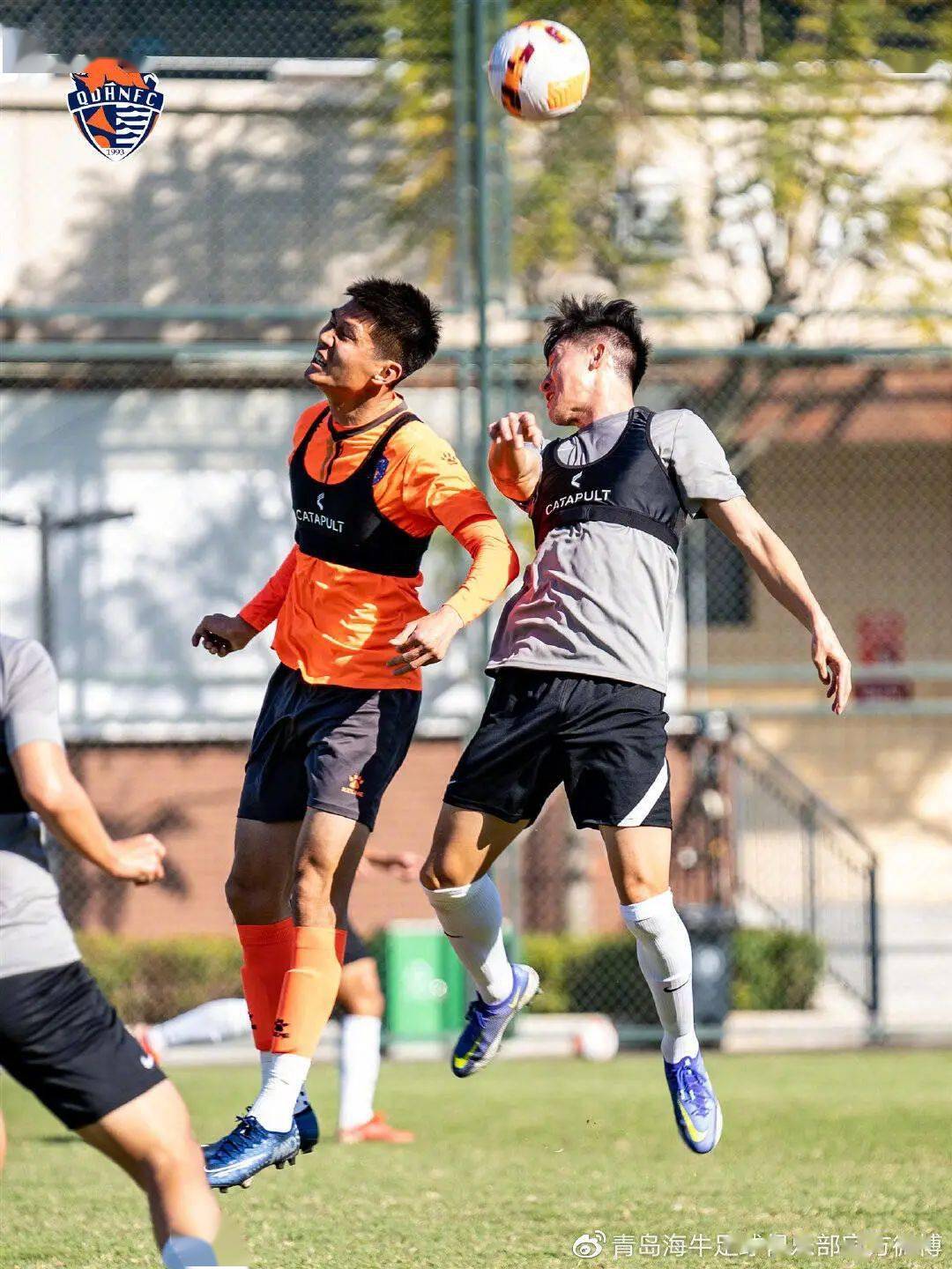 关于集训成果显现，北京队磨合明显加快的信息