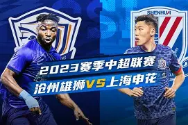 澳门新葡京官网_沧州雄狮客场顽强抢分